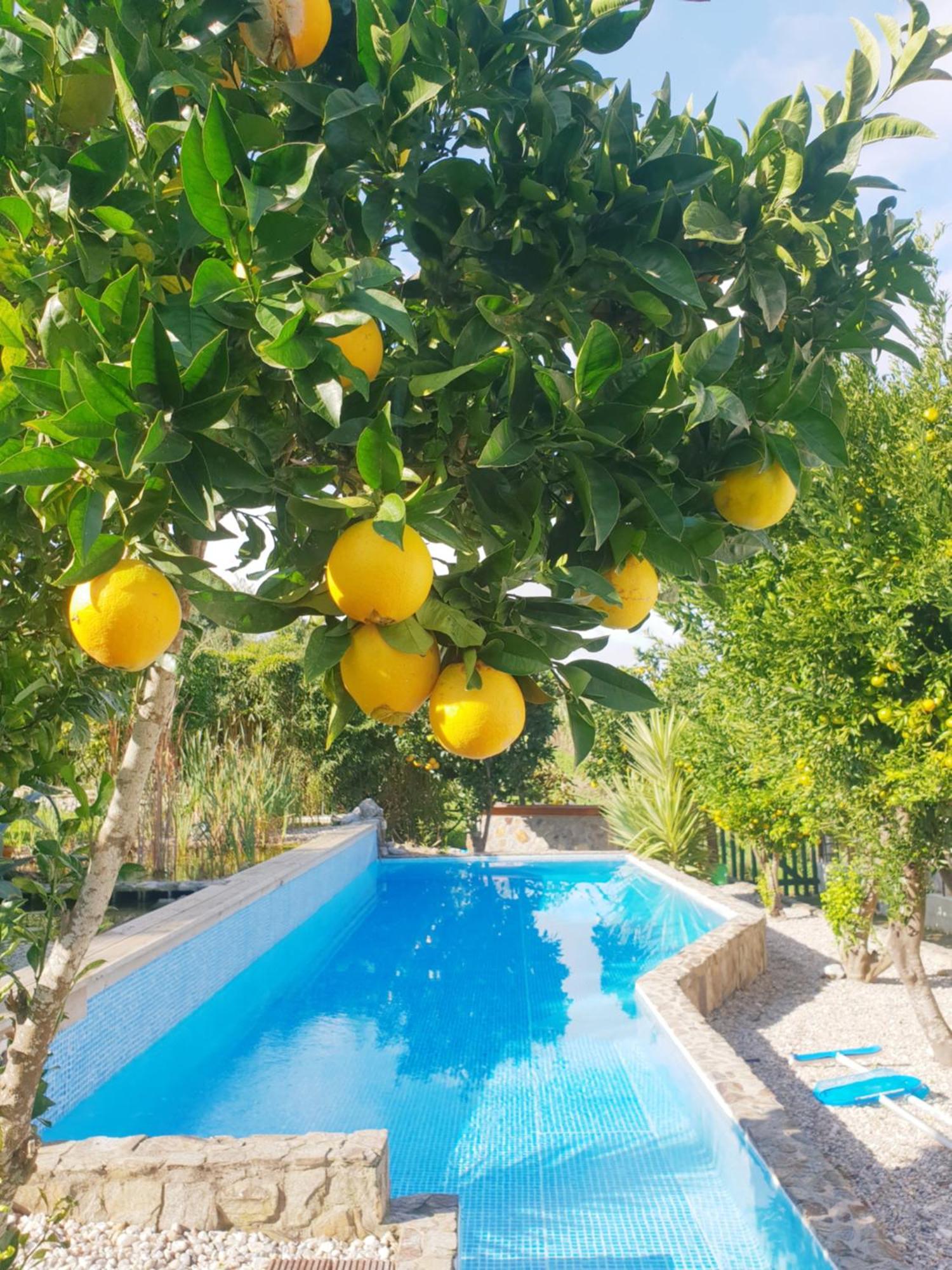 The Far End Surf House - Surf & Yoga Holidays Lourinha  Exterior photo